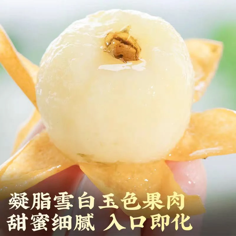 杨梅自家果园白枇杷新鲜现摘鲜果甜肉（顺丰包邮）