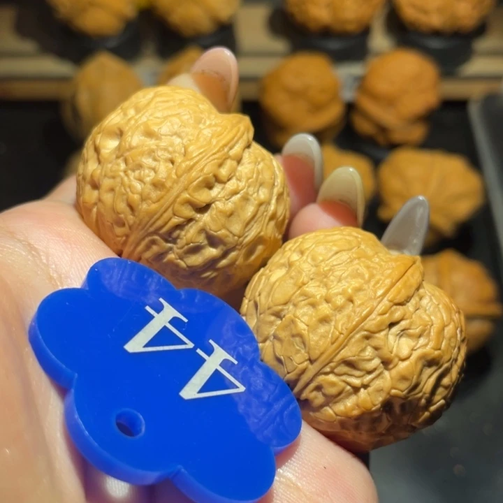 粗筋帝王34尺寸核桃