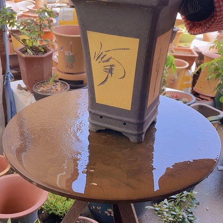 紫砂宜兴紫砂19黄四方