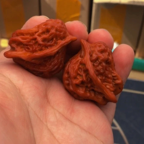 桃核把件文玩核桃异形