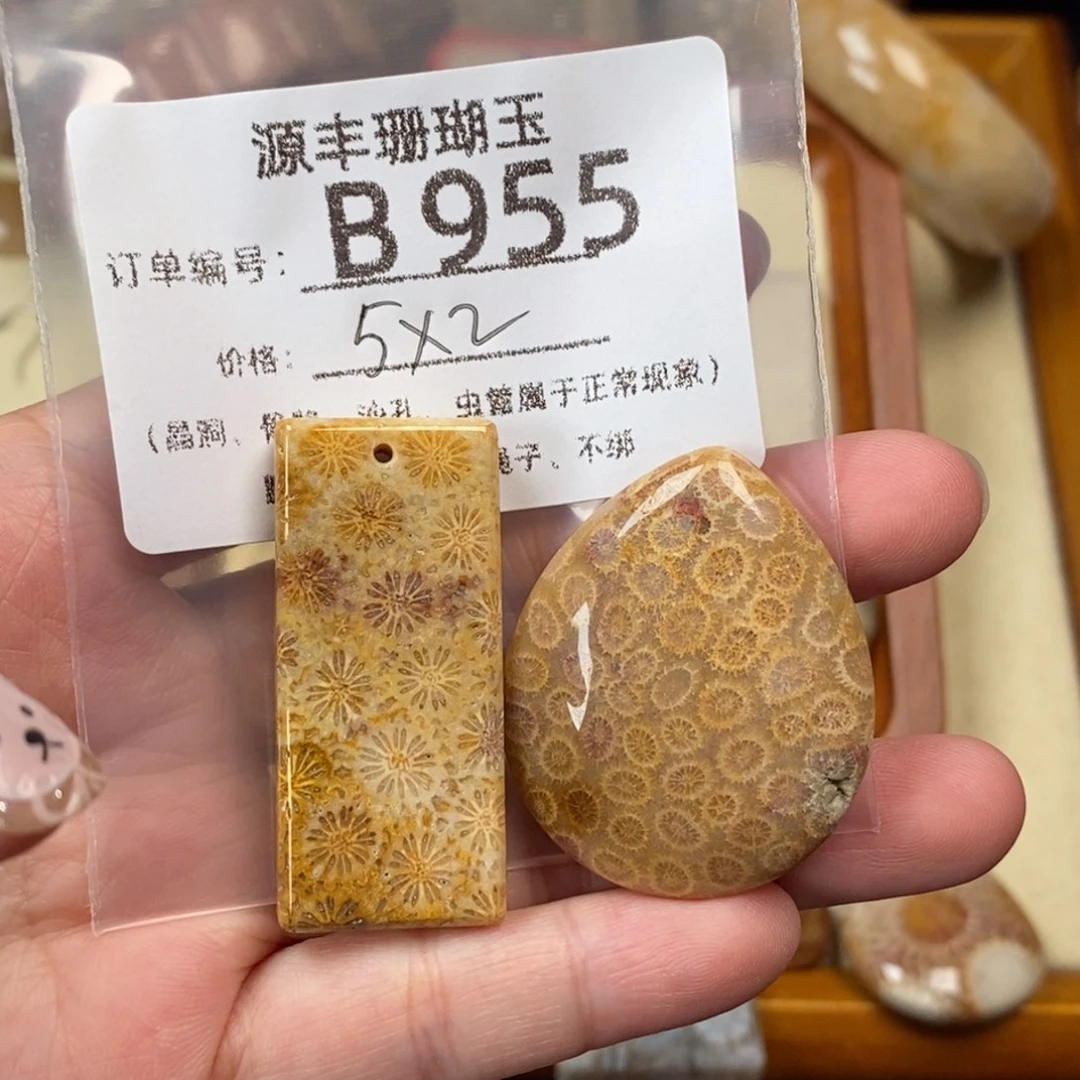 虞***乄未镶嵌颈饰硅化玉