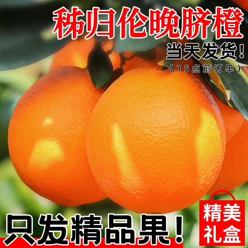【只卖精品果】湖北秭归伦晚脐橙斤9水果冰糖橙皮当季果冻多汁柑橘