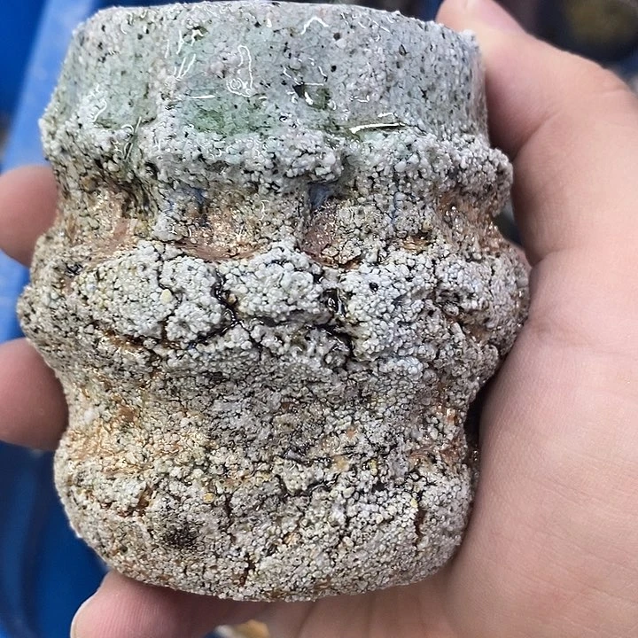 陶园柴烧，精品高货866