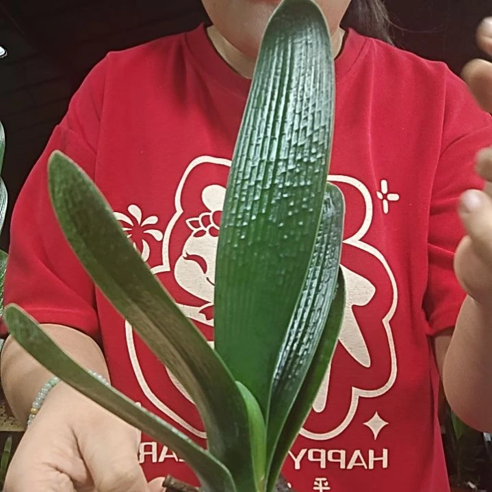 默***默无花朵默默     35