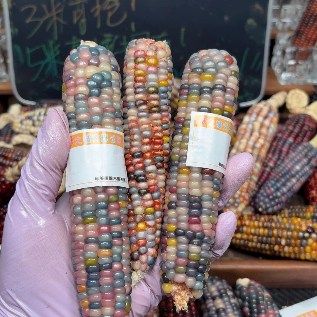 柏香籽/百香籽吊坠宸*缘