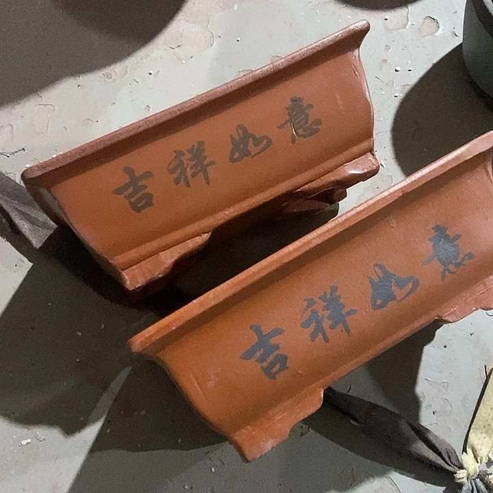 花25盆花盆花和花盆花盆花盆