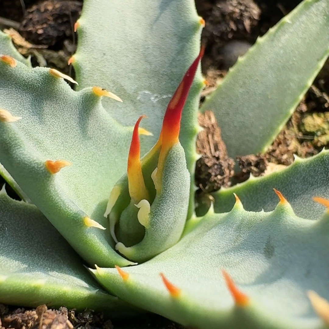 【闪购商品】24哈哈哈哈哈哈哈