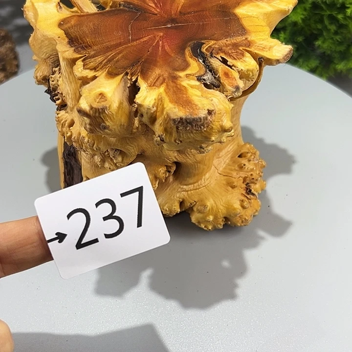 香榧木用****1火琉璃……