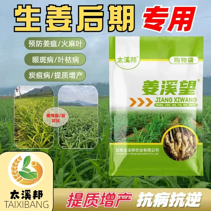 【太溪邦】姜溪望生姜防病增产套装