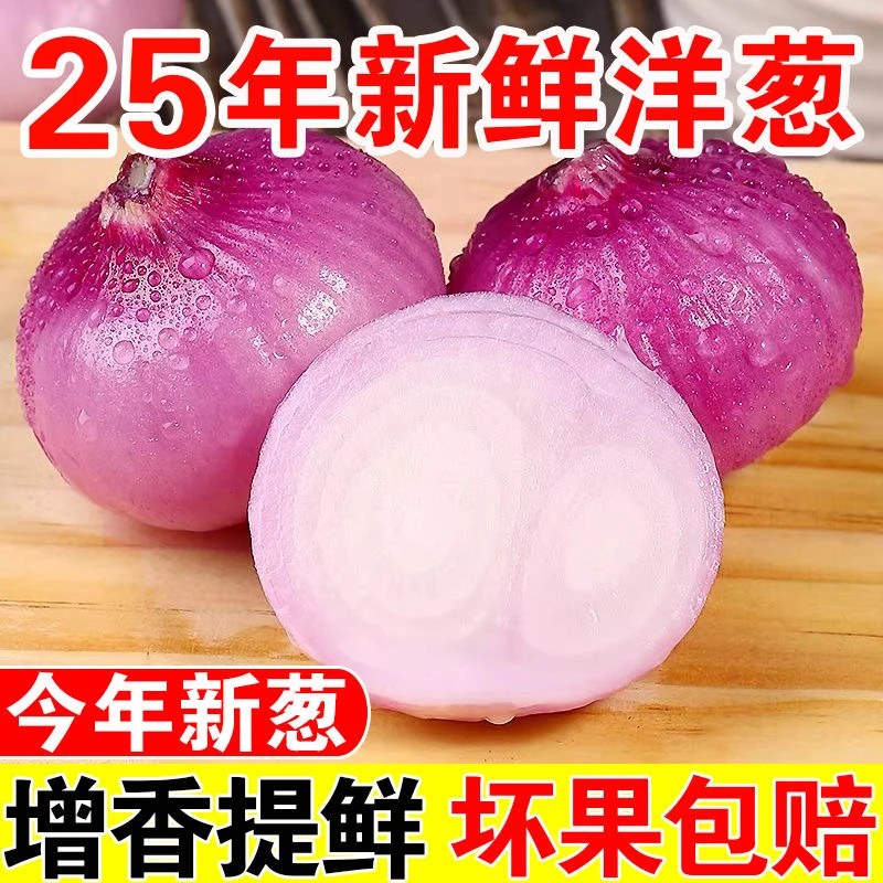 【河南紫皮洋葱】产地直发红皮生吃水果洋葱新鲜现挖当季蔬菜9斤