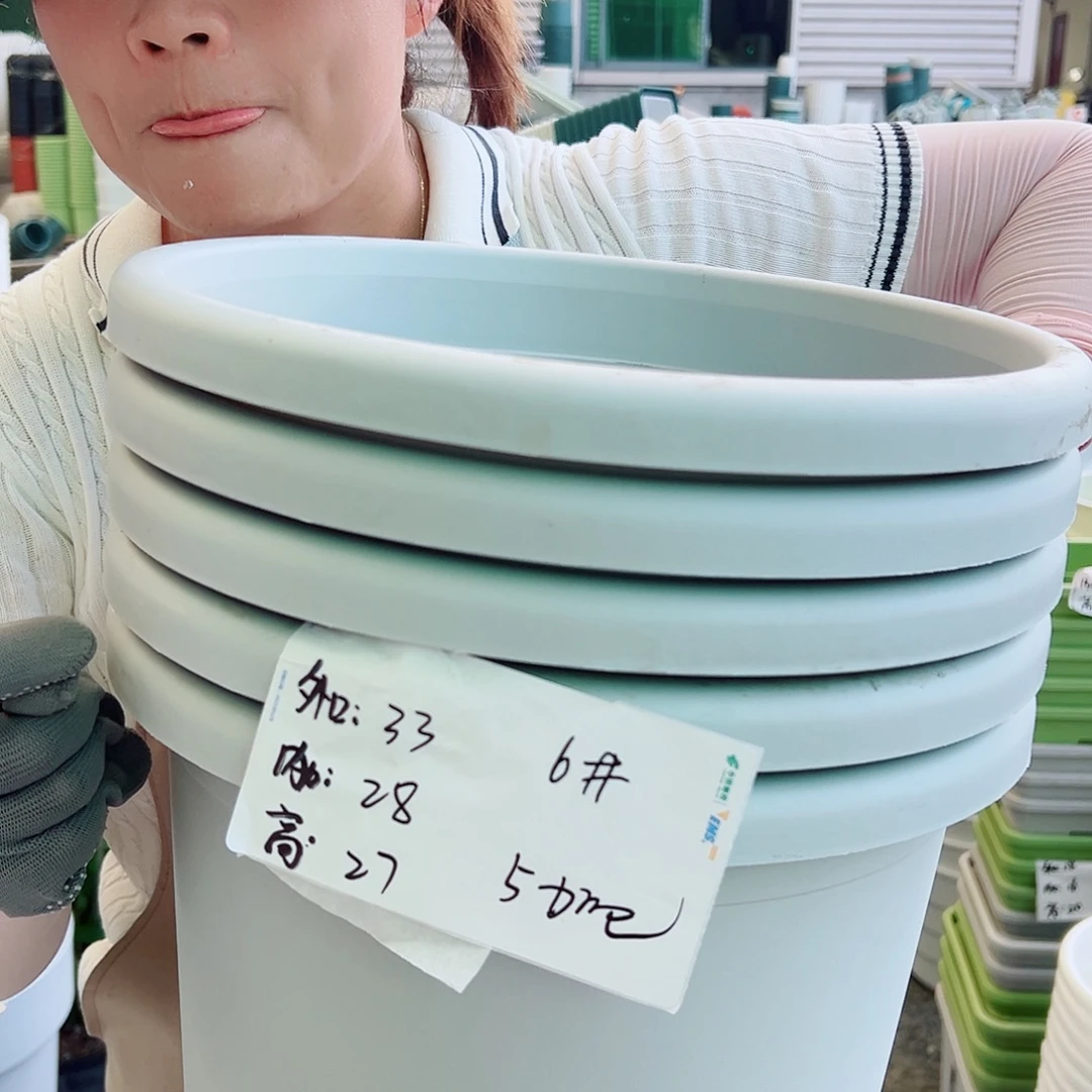 四季盆6#灰白色5个无托