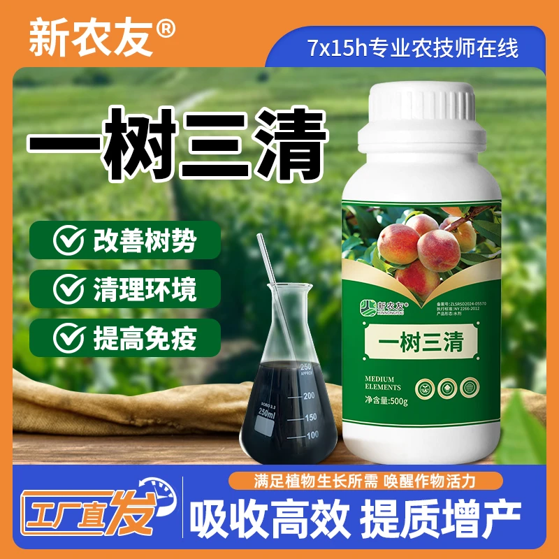 一树三清改善树势清理环境提高免疫