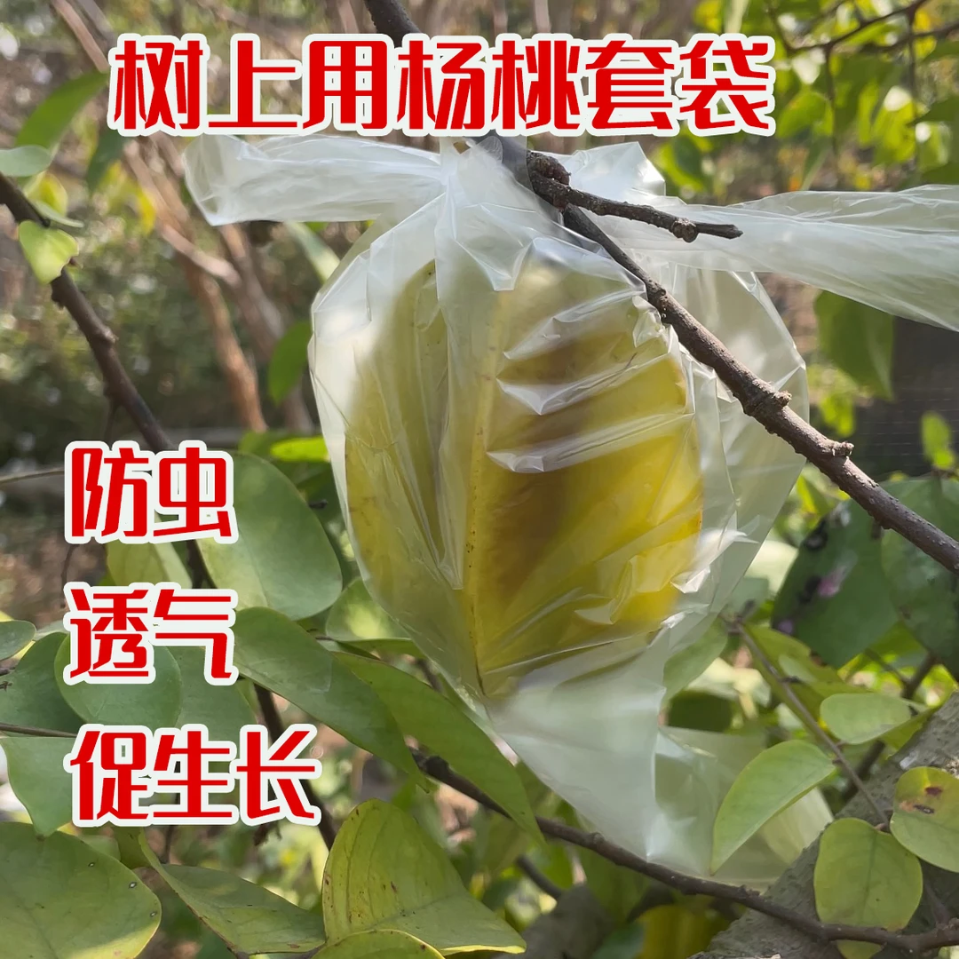 杨桃芭乐专用袋套袋生长袋水果瓜果防虫水果保护透明薄膜袋