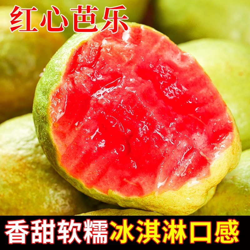 【放软食用】广西红心芭乐新鲜水果番石榴软糯当应季整箱