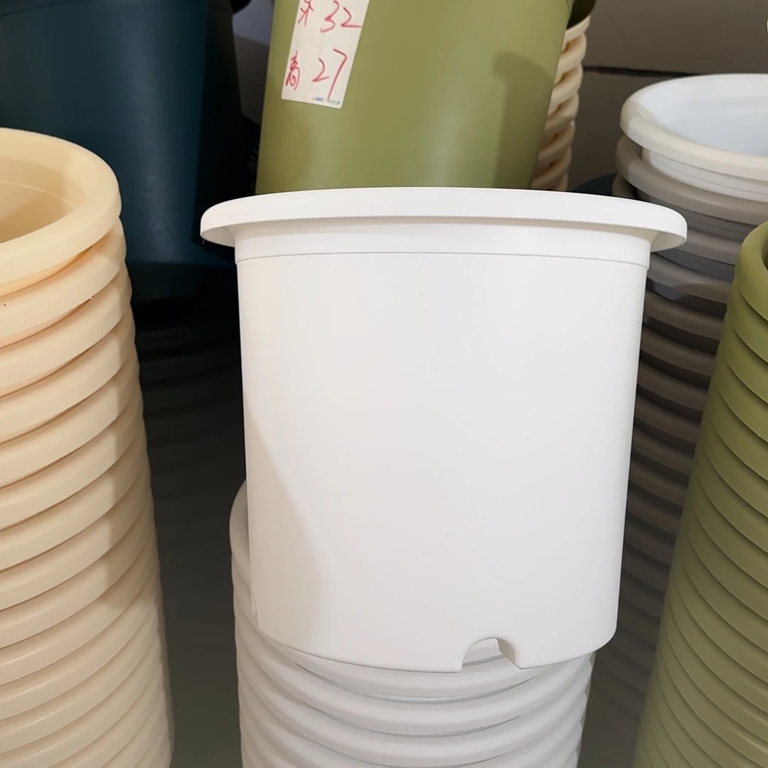 微瑕6号无托，白色7个