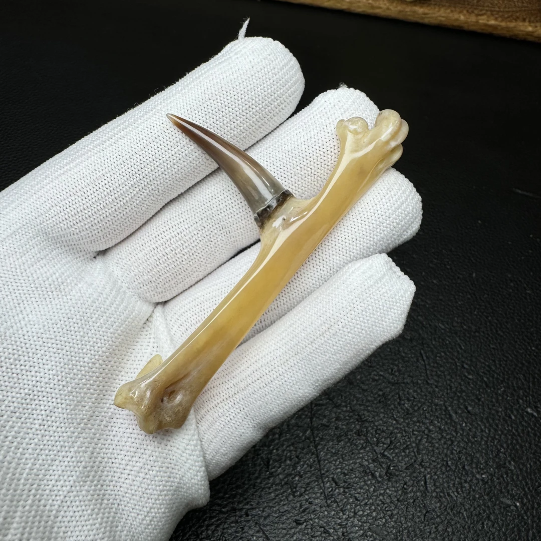 文玩鸡爪骨手把件（单只成品）