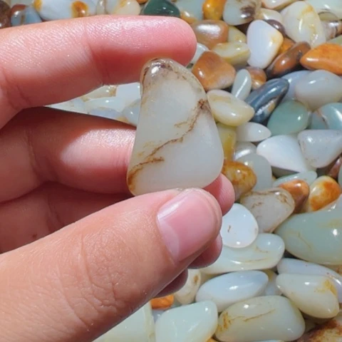 和田玉未镶嵌颈饰9克