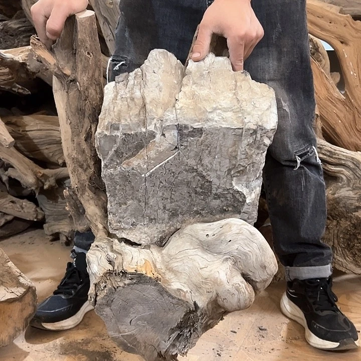 柏木河****播我们的生活也是如此的