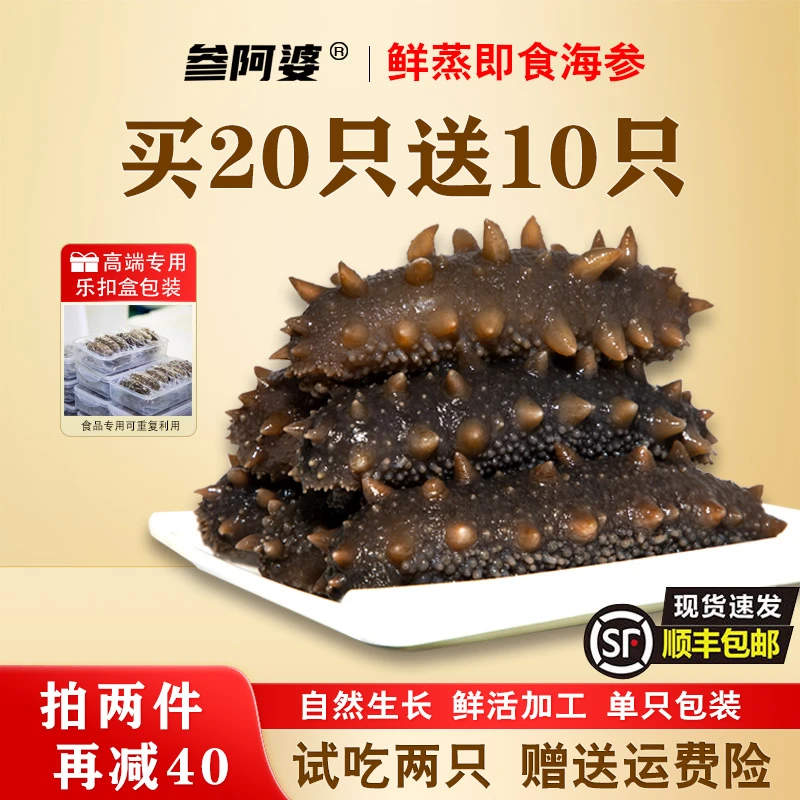 【丰收节】参阿婆鲜蒸海参20头送10头 非水发 20只/盒 7-8厘米
