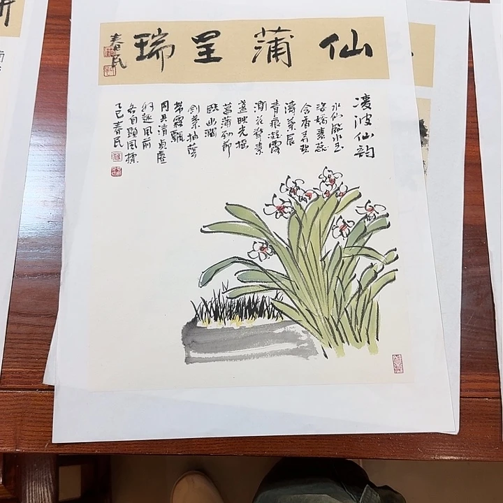 三***幸书法水仙666666666