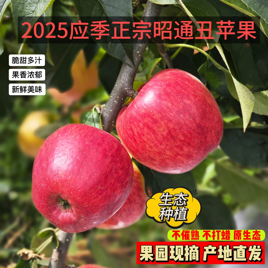 2025应季正宗云南昭通丑苹果新鲜采摘原产地直发5/10斤装