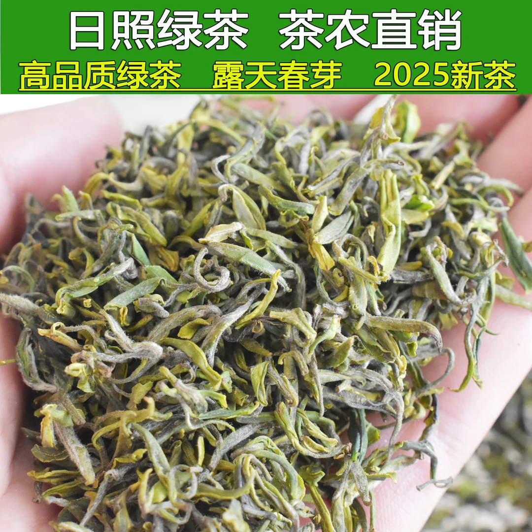 2025年日照绿茶开园露天新茶人工采摘豆香鲜香板栗香炒青250g500g
