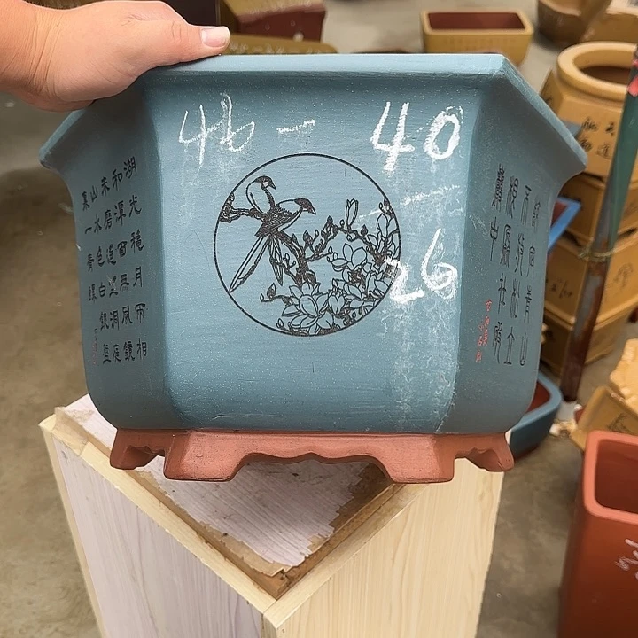 紫砂花盆这是我第一
