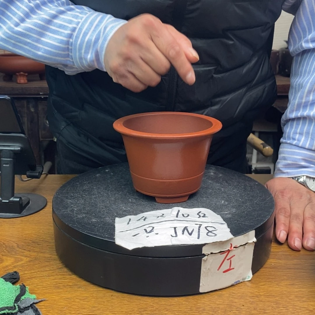 紫砂货号一只JN78