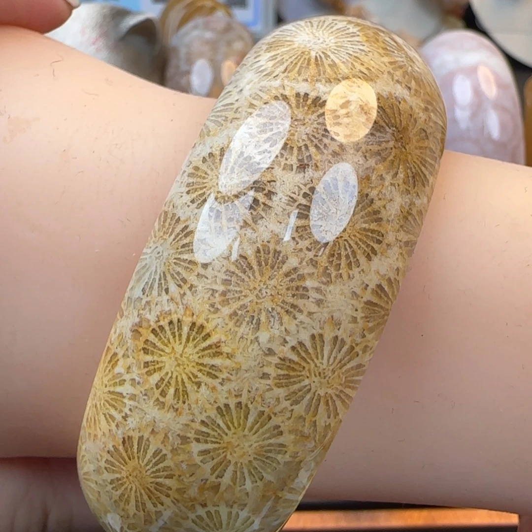 硅化珊瑚（珊瑚玉）未镶嵌颈饰58-60圈