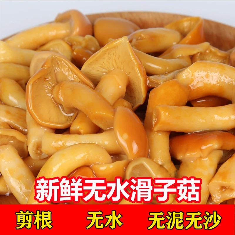 【无水无沙】新鲜滑子菇滑子蘑食用菌批发火锅炒凉拌煲汤口感滑脆
