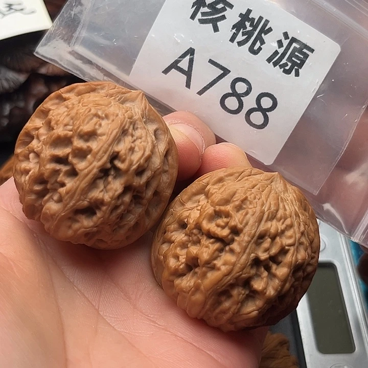 文玩核桃吊坠凤凰台41+