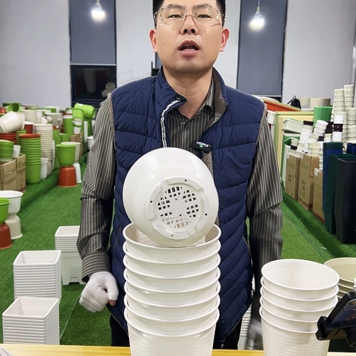 正品高陶口15高15白色8只无托