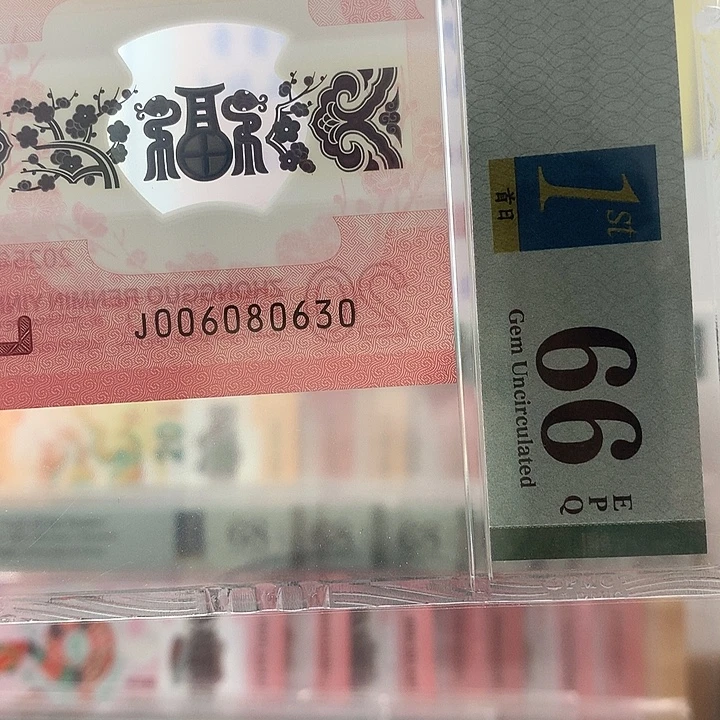 塑料金山王，080630，