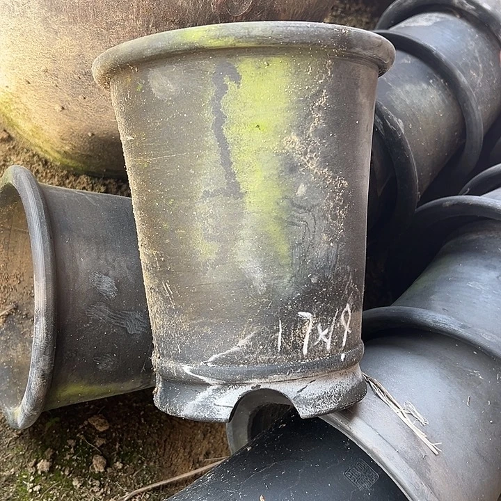 青苔直筒口径17高度19