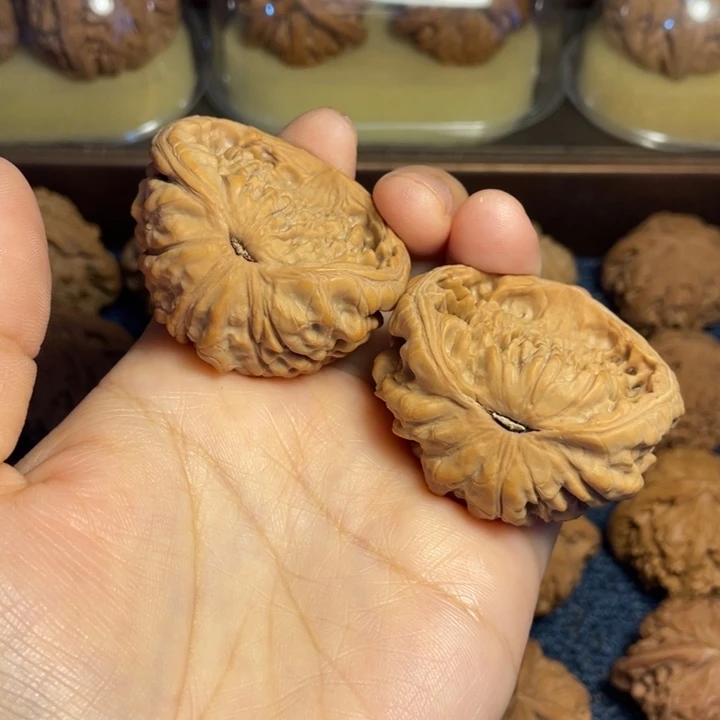 ****摔吊坠龙脊菩提聚宝盆核桃