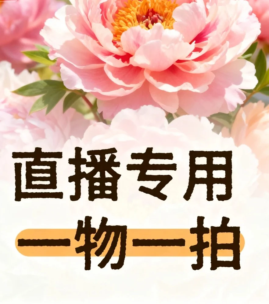 【裸根牡丹】对版易活耐寒品种多样基地直发