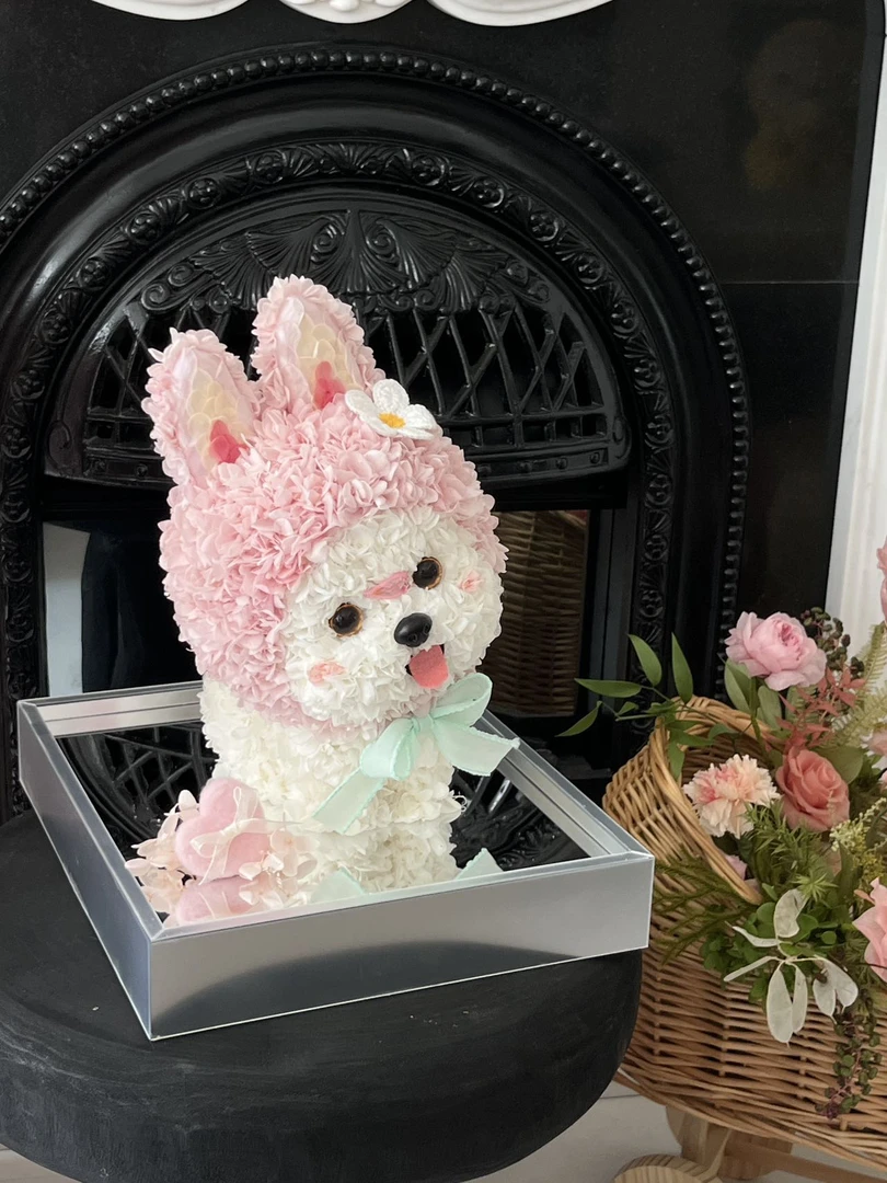 214情人节粉色小布头小狗永生花亚克力送女友生日表白礼物礼盒