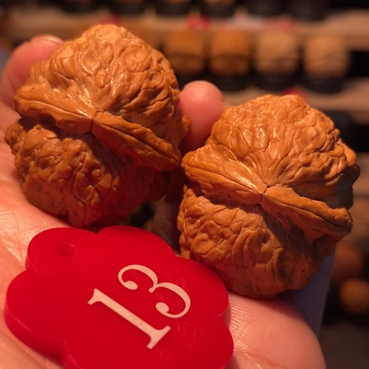 木质类粗筋金蟾舍利38尺寸