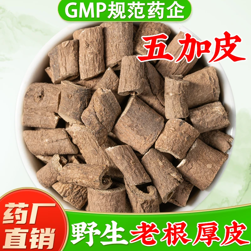 野生五加皮中药材官方旗舰店正品 湖北道地产区南五加皮中药材