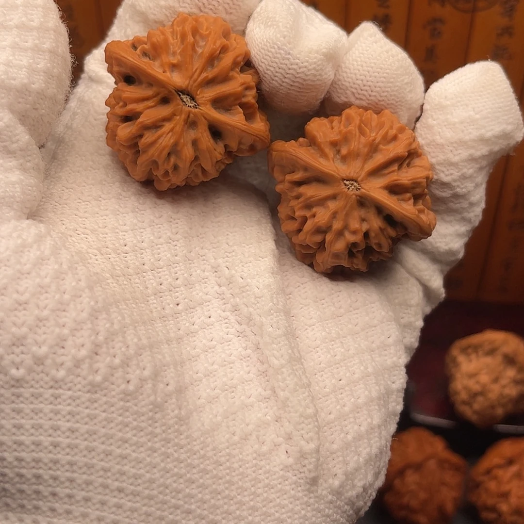 卯***月桃核吊坠秦闷狮子头精品文玩核桃