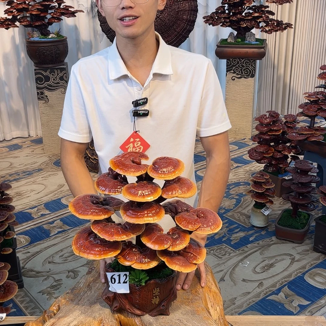全部花朵8888888888888