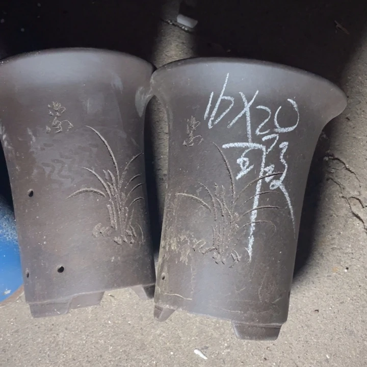 周深周深周深周深周深