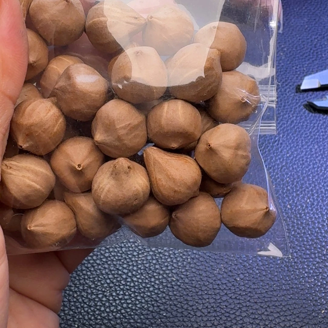 磨***霍手串/手链橄榄核1