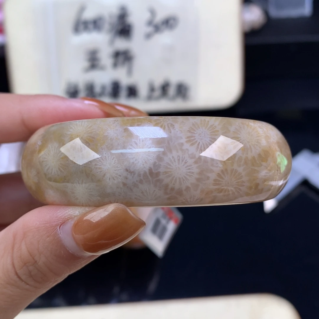 硅化珊瑚（珊瑚玉）未镶嵌颈饰精美手镯五折54.4口（15号）