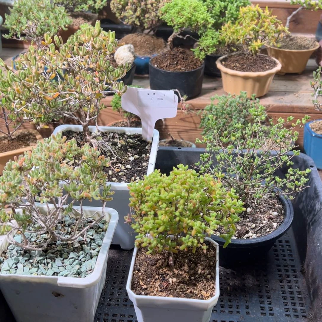 10034框拍特价福利活动