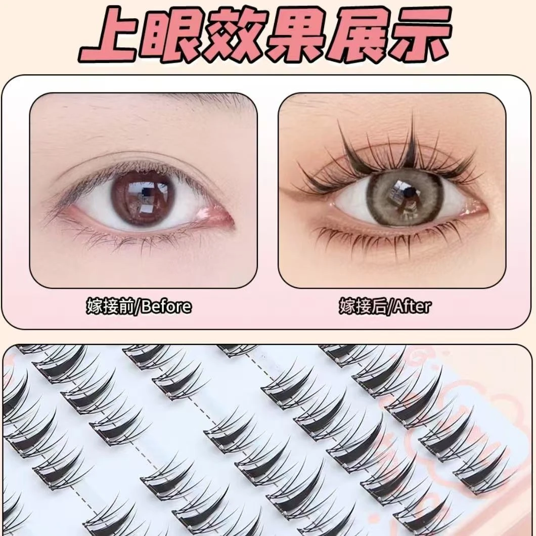 免胶无梗太阳花假睫毛浓密柔软舒适新手必备
