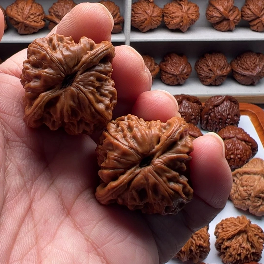 文玩核桃把件来*白蛇谷