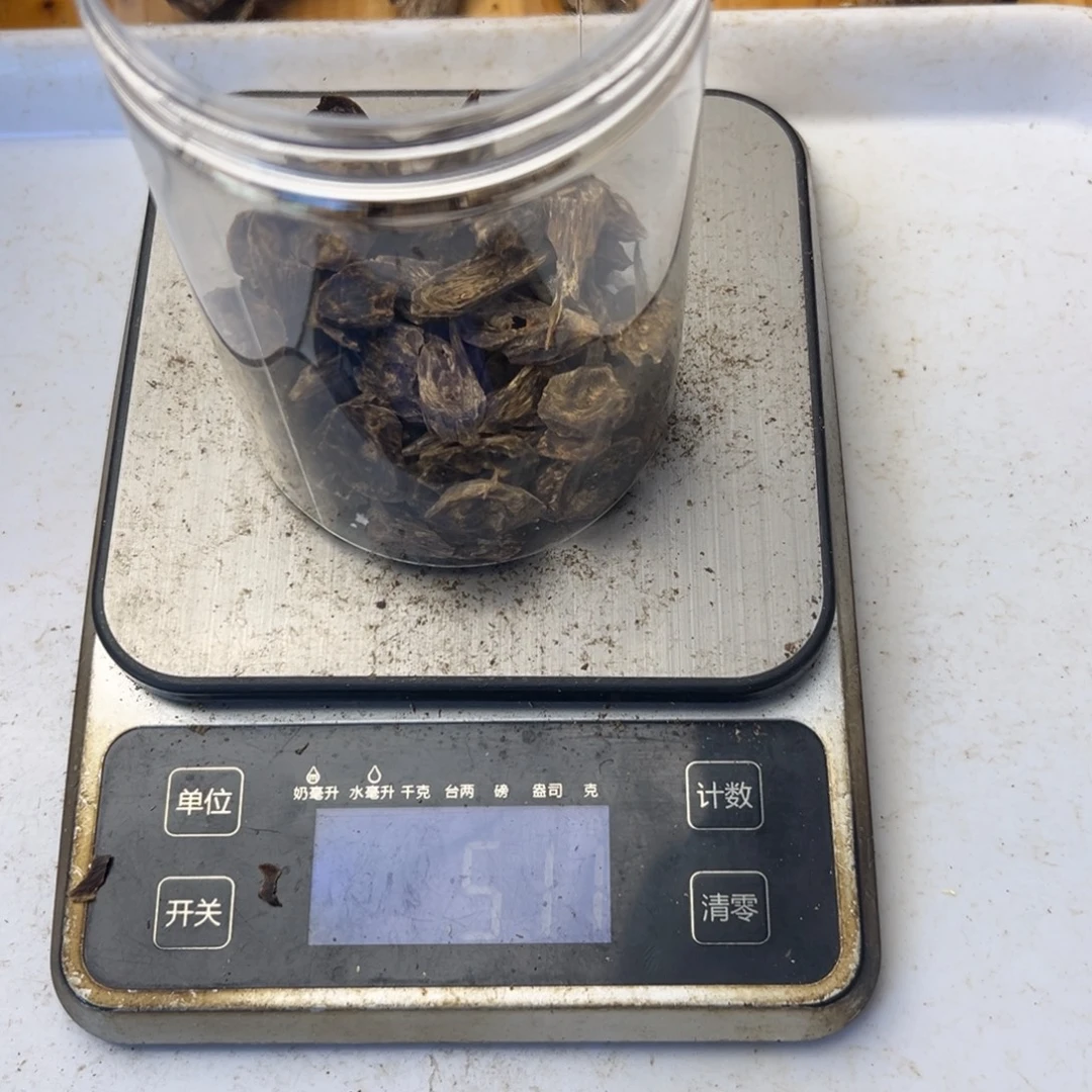 沉香碎屑沉香沉香奇楠树丁