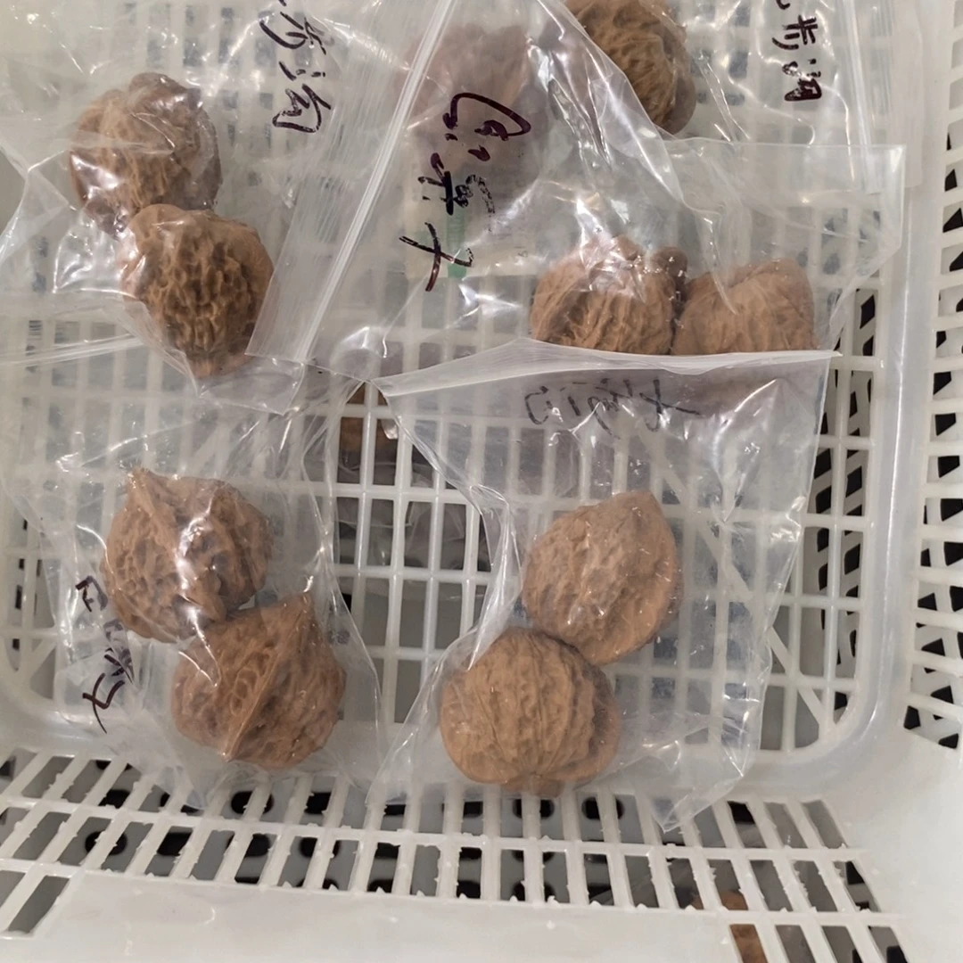 文玩核桃吊坠七步沟团购