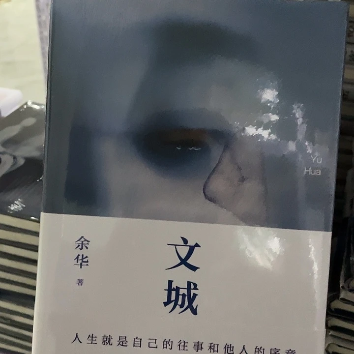 文城  精装带塑封